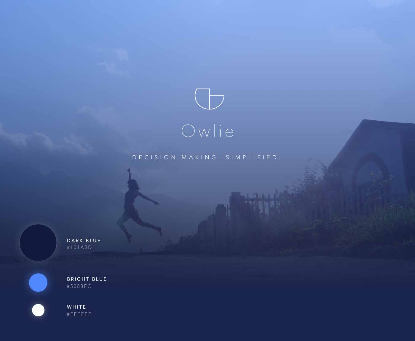 Owlie Final Design